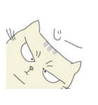 猫のあでぃお。（個別スタンプ：2）