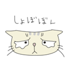 猫のあでぃお。（個別スタンプ：6）