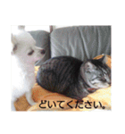 タロウと愉快な仲間たち（個別スタンプ：4）