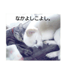 タロウと愉快な仲間たち（個別スタンプ：8）