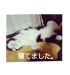 タロウと愉快な仲間たち（個別スタンプ：9）