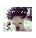 タロウと愉快な仲間たち（個別スタンプ：10）