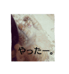 タロウと愉快な仲間たち（個別スタンプ：13）