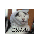 タロウと愉快な仲間たち（個別スタンプ：16）
