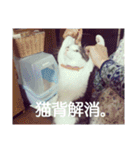 タロウと愉快な仲間たち（個別スタンプ：21）