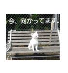 タロウと愉快な仲間たち（個別スタンプ：23）