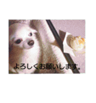 タロウと愉快な仲間たち（個別スタンプ：24）