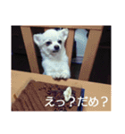 タロウと愉快な仲間たち（個別スタンプ：25）