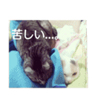 タロウと愉快な仲間たち（個別スタンプ：28）