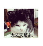 タロウと愉快な仲間たち（個別スタンプ：34）