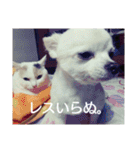 タロウと愉快な仲間たち（個別スタンプ：35）