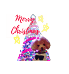 COCO 02（個別スタンプ：1）