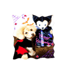 COCO 02（個別スタンプ：2）