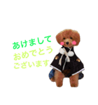 COCO 02（個別スタンプ：5）