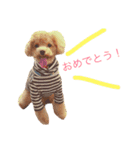 COCO 02（個別スタンプ：6）