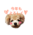 COCO 02（個別スタンプ：8）