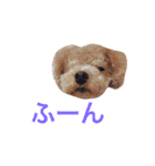 COCO 02（個別スタンプ：9）