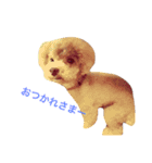 COCO 02（個別スタンプ：12）