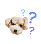 COCO 02（個別スタンプ：13）