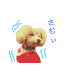 COCO 02（個別スタンプ：14）