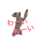 COCO 02（個別スタンプ：15）
