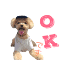 COCO 02（個別スタンプ：16）
