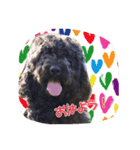 ノアのご挨拶（個別スタンプ：1）