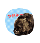ノアのご挨拶（個別スタンプ：15）