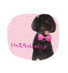 ノアのご挨拶（個別スタンプ：16）