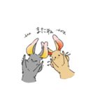 チンチラ チロル（個別スタンプ：34）