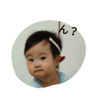 cocorosan（個別スタンプ：1）