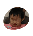 cocorosan（個別スタンプ：8）
