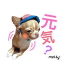 我が家の社長さん＆従業員（個別スタンプ：10）