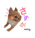 我が家の社長さん＆従業員（個別スタンプ：12）