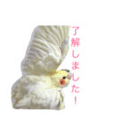 れもん、ちぇりー、らむね、ももちゃん（個別スタンプ：6）