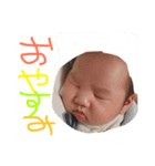 こあにこはち（個別スタンプ：6）