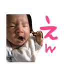 こあにこはち（個別スタンプ：10）