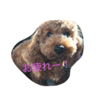 Amber and Ruby（個別スタンプ：6）