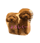 Amber and Ruby（個別スタンプ：8）