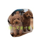 Amber and Ruby（個別スタンプ：11）