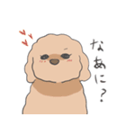もっふもふの犬達（個別スタンプ：3）