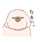 もっふもふの犬達（個別スタンプ：4）