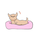 もっふもふの犬達（個別スタンプ：14）