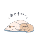もっふもふの犬達（個別スタンプ：31）