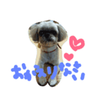 うちの愛犬メロン（個別スタンプ：7）