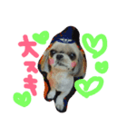 うちの愛犬メロン（個別スタンプ：8）
