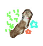 うちの愛犬メロン（個別スタンプ：23）