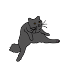 Meow, We are Cats！（個別スタンプ：8）