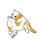 Meow, We are Cats！（個別スタンプ：16）
