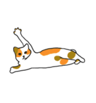 Meow, We are Cats！（個別スタンプ：19）